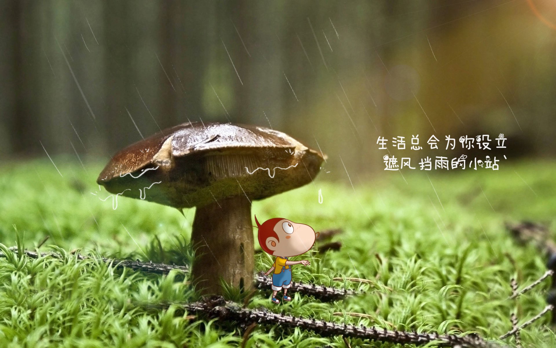 英超青训教练与一线教练接班机制对比分析,英超最新教练工资