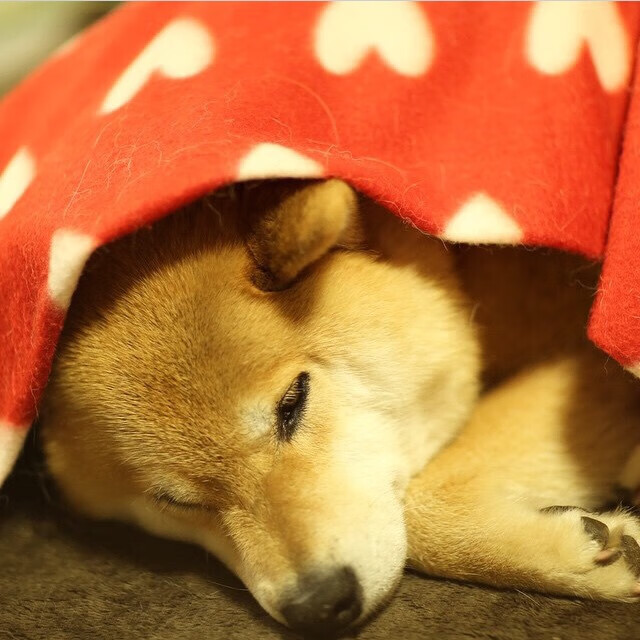 节奏变化频繁是否会让对手难以预判防守，节奏改变旋律会改变吗