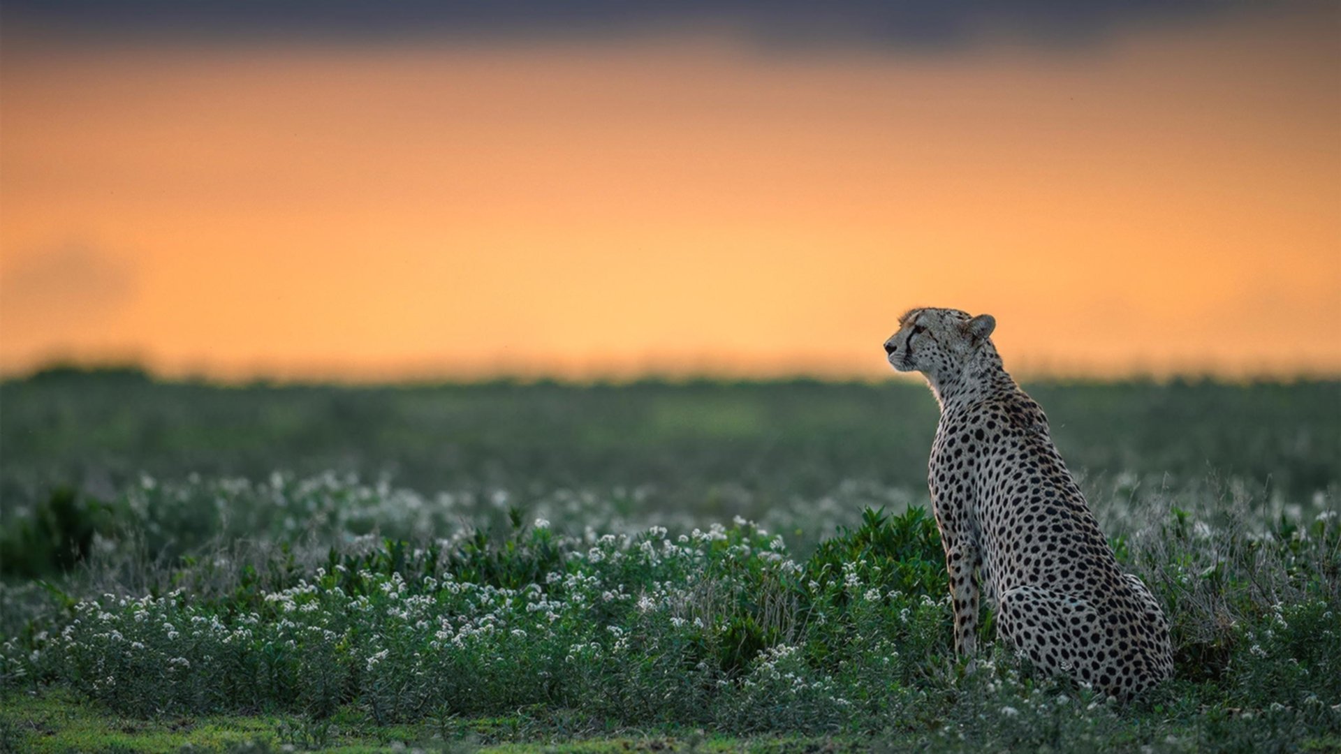 观众互动体验不断升级，观众互动形式