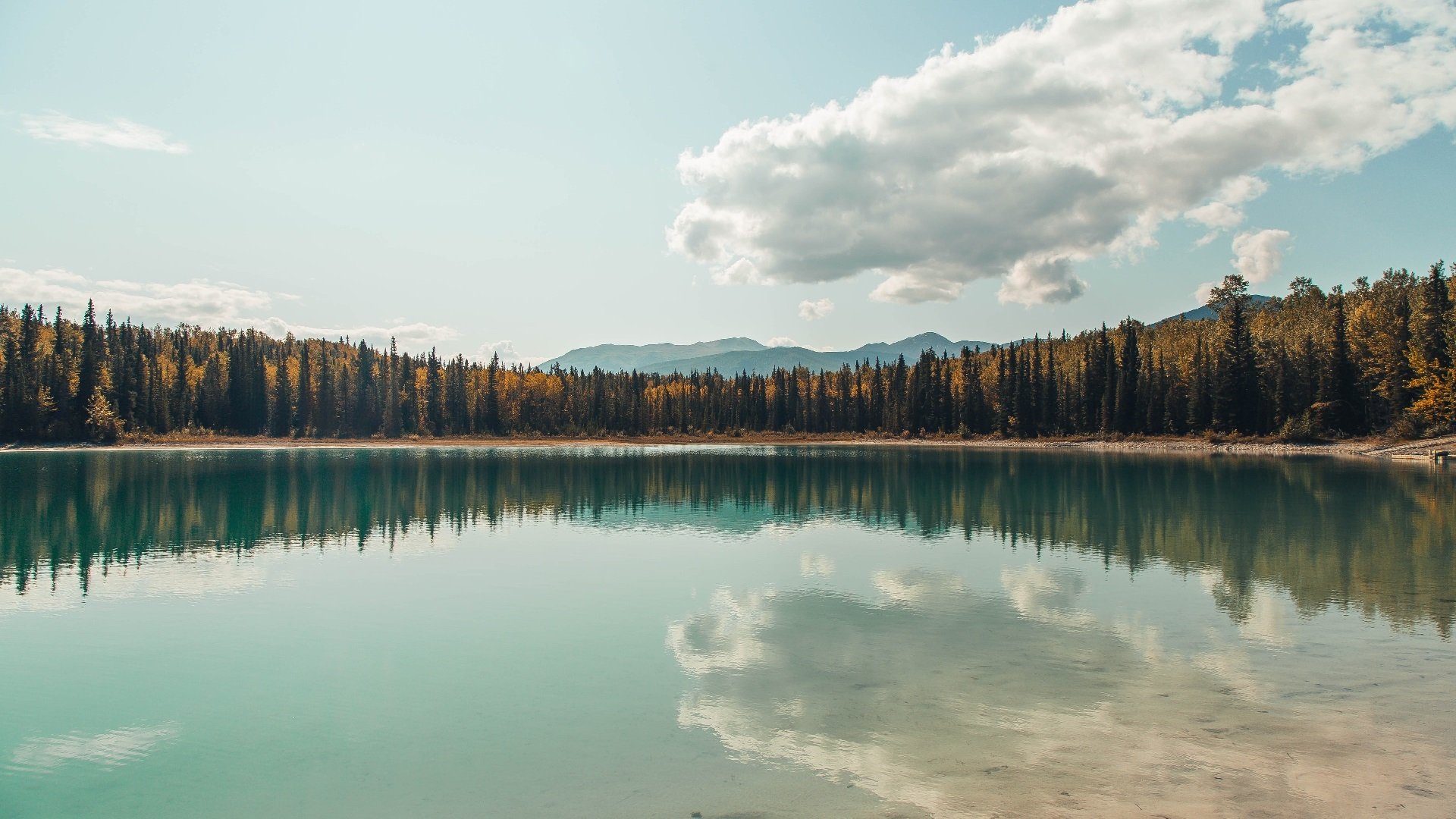 C罗状态回归巅峰世界杯小组赛，c罗参加2022年世界杯