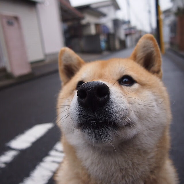 伊利亚·哈伦冲刺阶段完美发挥，伊哈马伦