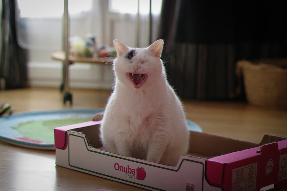 体育新闻中心黑马表现分析，体育新闻的网站